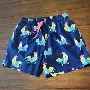 Chubbies Mens Swim Trunks